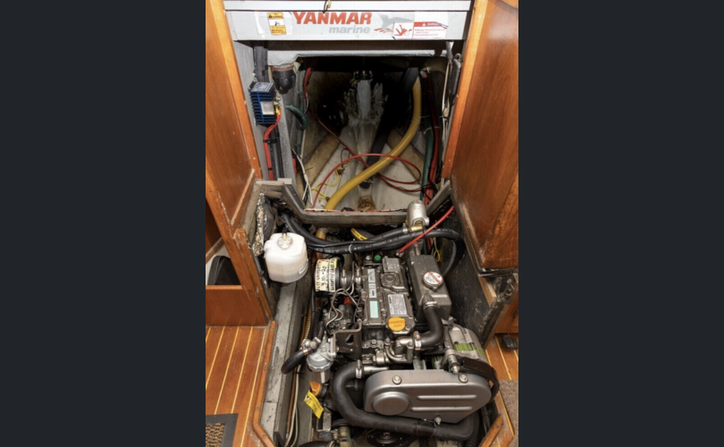 Tradewind 35-kuva-10